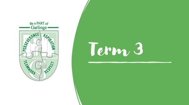 Term 3