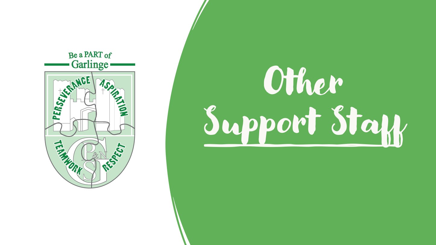 Other Support Staff