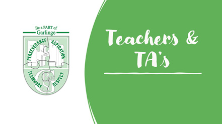 Teachers TA