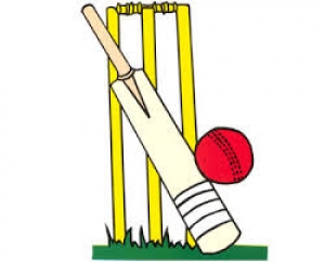 Cricket Festivals - Garlinge Primary School