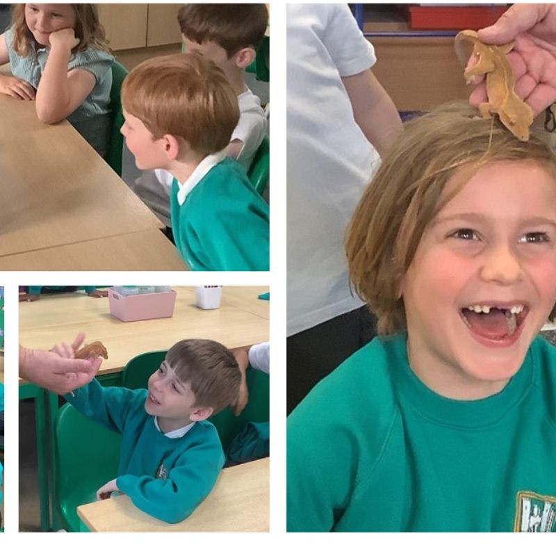 Image representing Year 2 Enjoy a Visit from Creepy Claws from Garlinge Primary and Nursery School