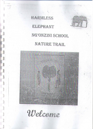 Garlinge Pupil's Fundraising for N'gonzini School - Garlinge Primary School
